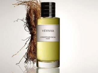 dior parfum homme collection privee