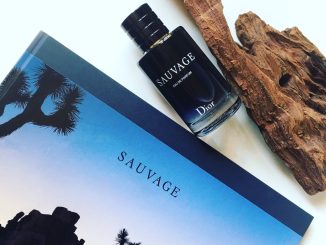 dior sauvage eau de parfum beauty success