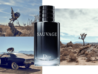 dior sauvage parfum nocibe