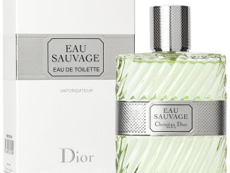 eau de parfum sauvage dior 100 ml prix maroc
