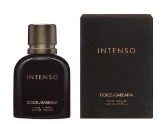 parfum dolce gabbana pour homme