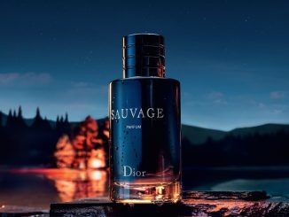 parfum sauvage dior homme 100ml